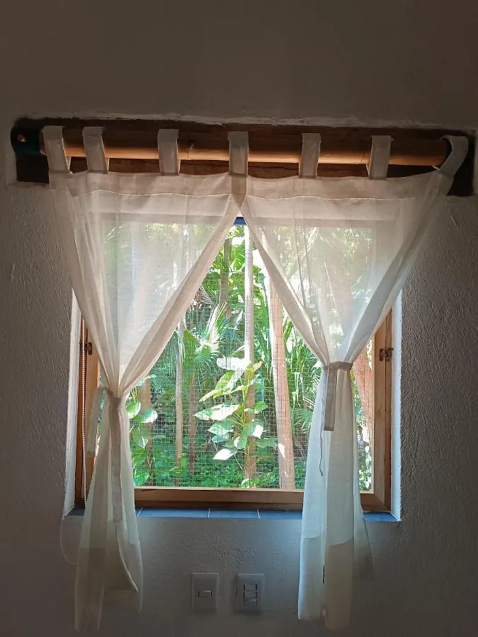 Jungle Lodge Cancun Guest house