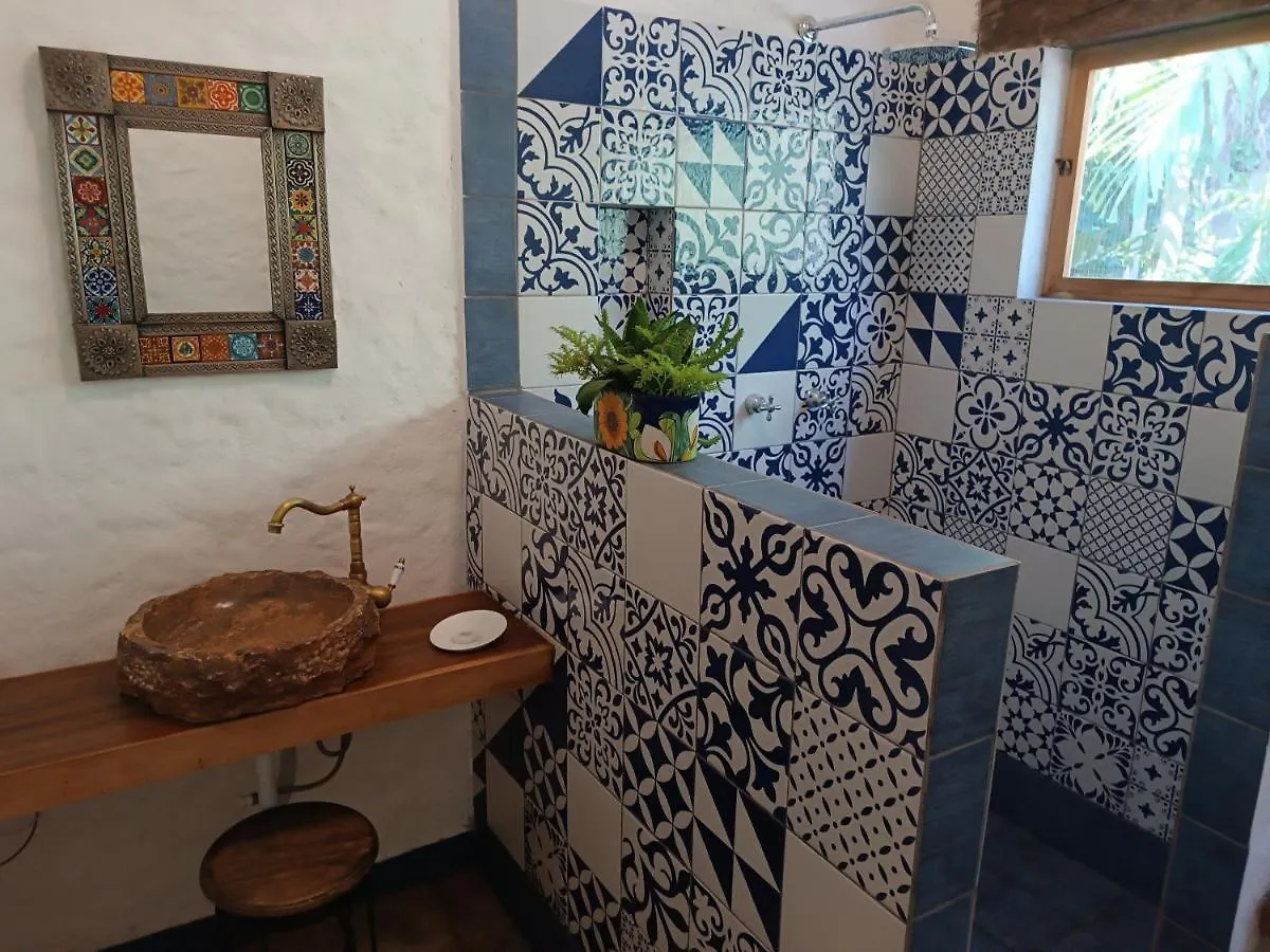 Guest house Jungle Lodge Cancun Mexico