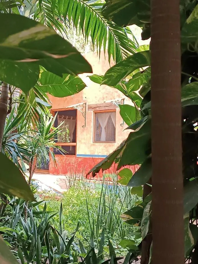 Jungle Lodge Cancun 0*,  Mexico